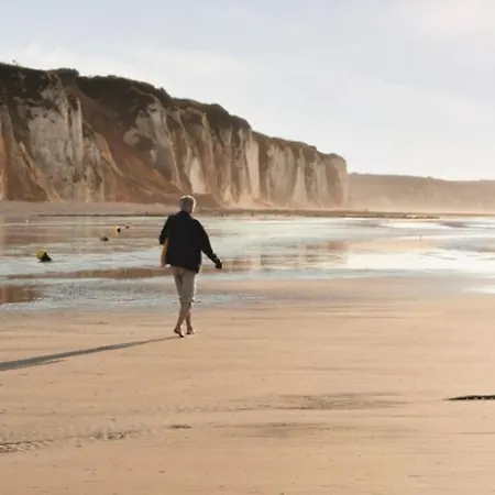 L'octopus/entierement Renove Dieppe